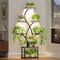 62-Inch Tall Tree-Shaped Indoor Plant Stand with 3-Head Full-Spectrum Grow Lights 8-Tier Corner Display Shelf